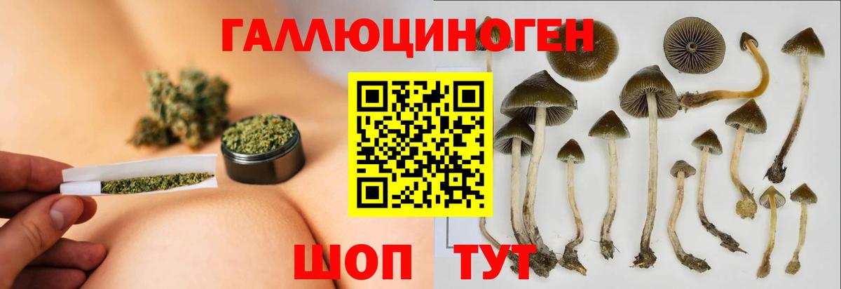 Псилоцибиновые грибы Cubensis  Вход с VPN  Корсаков 